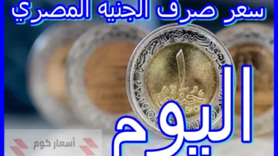 أسعار صرف الجنيه المصري اليوم