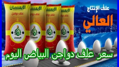 سعر علف دواجن البياض اليوم