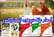 أسعار علف نيوهوب الصيني اليوم