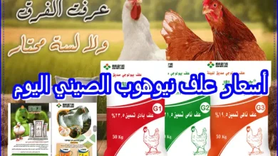 أسعار علف نيوهوب الصيني اليوم