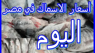أسعار الأسماك اليوم في مصر الجمعة 17-04-2026 أسعار الأسماك اليوم في مصر