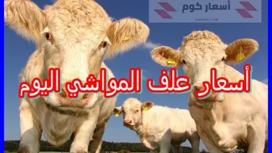 أسعار علف المواشي اليوم