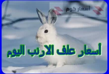 أسعار أعلاف الأرانب اليوم الجمعة 17-04-2026 أسعار أعلاف الأرانب اليوم