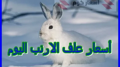 أسعار أعلاف الأرانب اليوم الجمعة 17-04-2026 أسعار أعلاف الأرانب اليوم