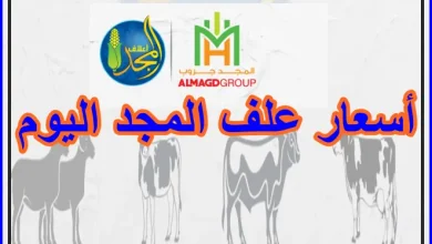 أسعار علف المجد اليوم