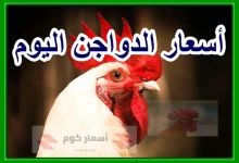 أسعار بورصة الدواجن اليوم الجمعة 17-04-2026 أسعار بورصة الدواجن اليوم