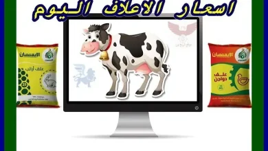 سعر طن علف الإيمان اليوم