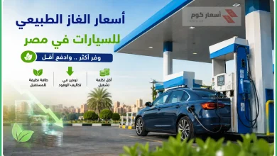 الغاز الطبيعي للسيارات في مصر